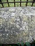 image of grave number 144716